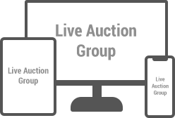 Online Auctions